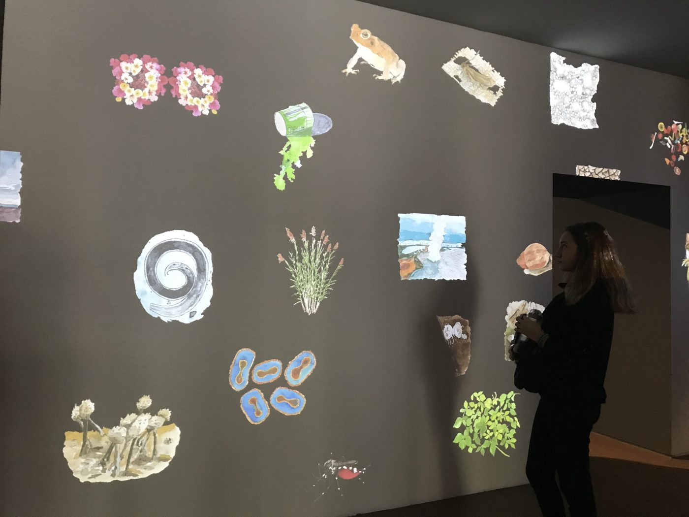 16. İstanbul Bienali